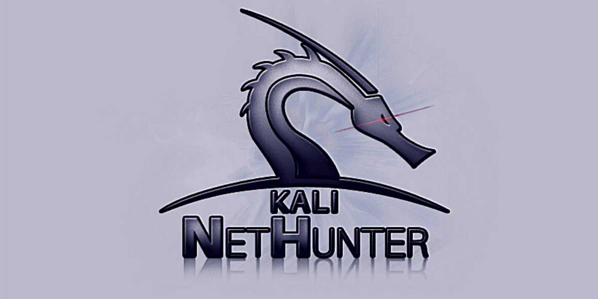 show me details Kali Linux nethunter