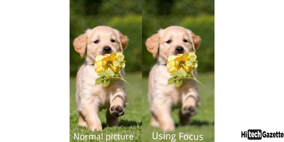 Fotor photo editor app