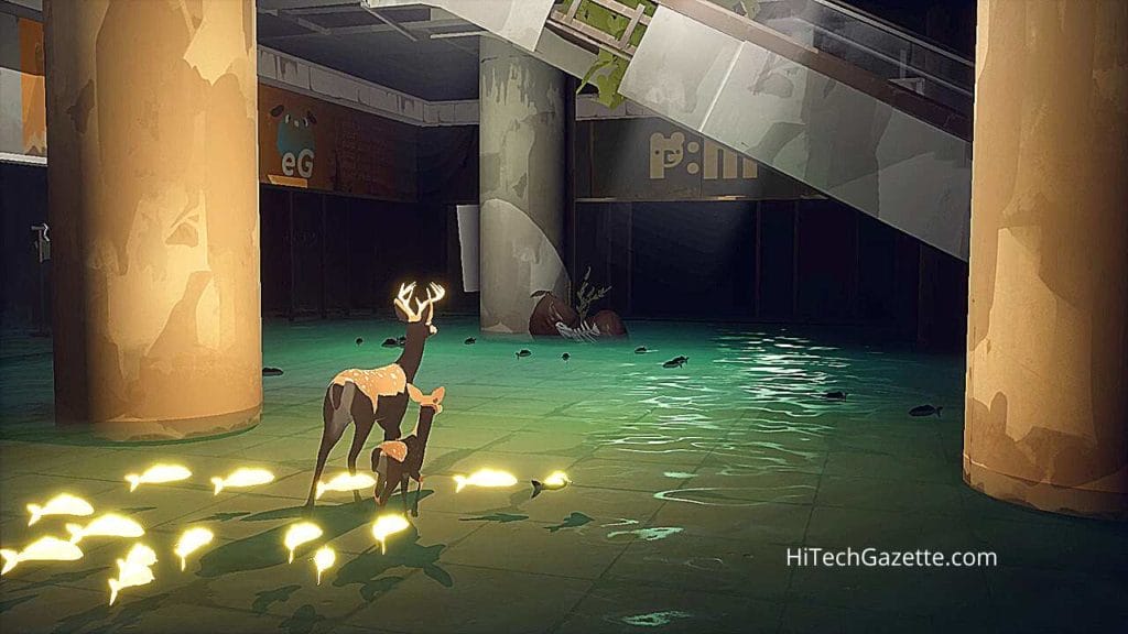 Way To The Woods - A Treat To The Eyes