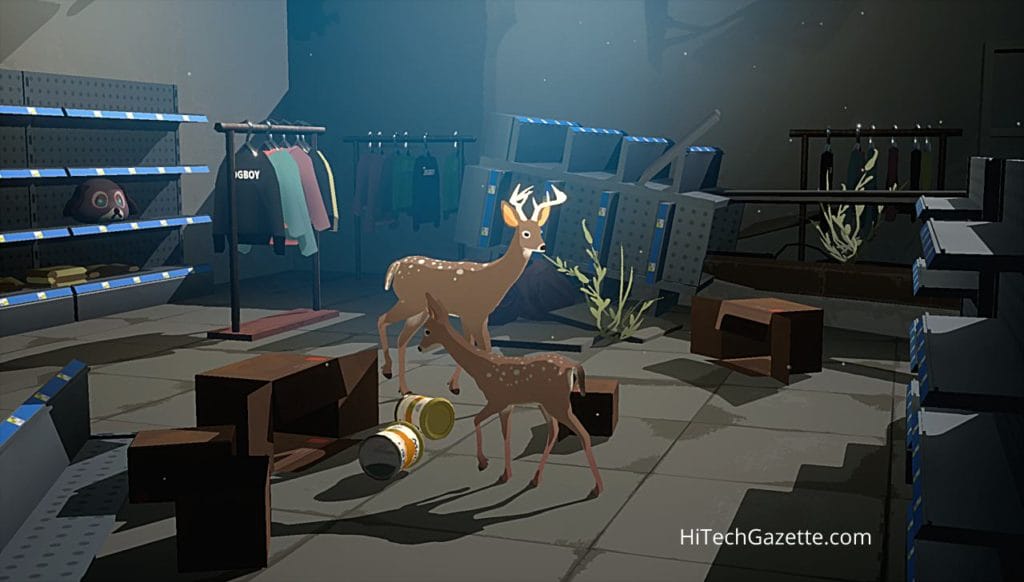 Way To The Woods - A Treat To The Eyes