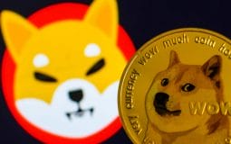 How Musk’s Tweets Affect Shiba Inu Token