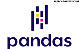 The Basics of Pandas: Python