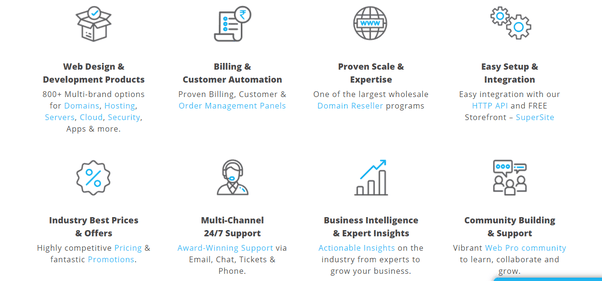 Is Reseller Hosting A Credible Business Model: Experts Answer