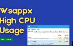 Expert Guide to Fix WSAPPX High CPU Usage Problem [2022]