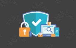 Digital Startups: How to Get the Best Asset Protection