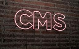 Ranking 5 Best Blogging CMS For Beginners