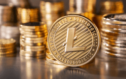 How Is Litecoin Price Going to Unveil After It Has Shown Some Weakness?