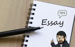 11 Essay Writing Tips from Experts [2022]