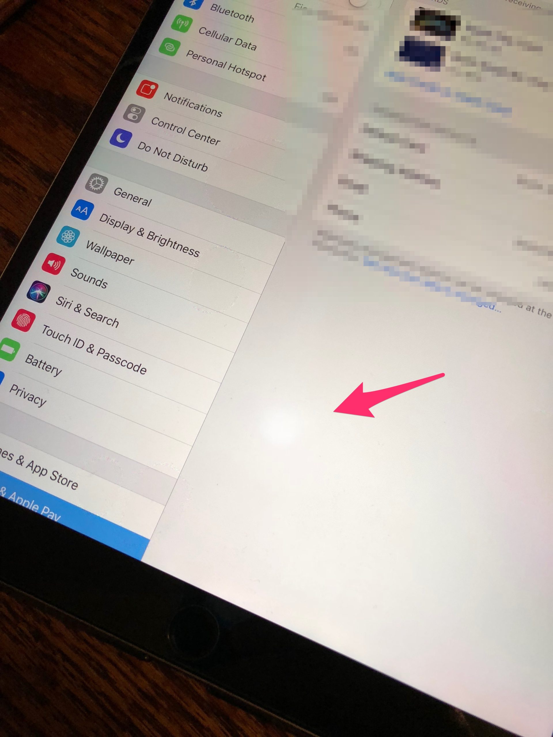 White Spot on iPad Screen