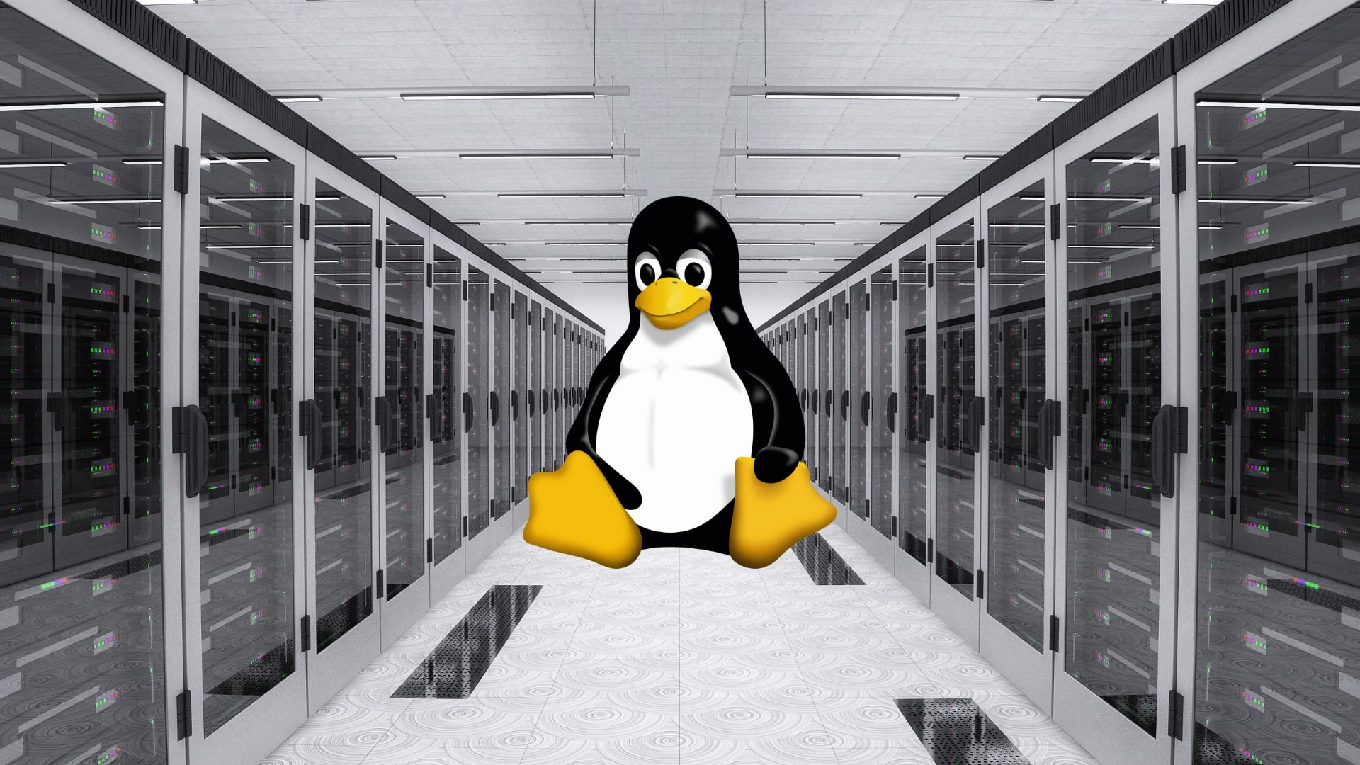 Best Linux OS for Your Server | Hi Tech Gazette