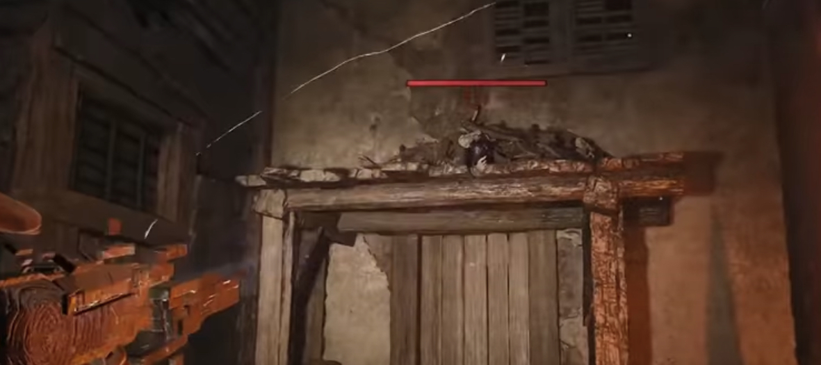 Birds in Hidden Path