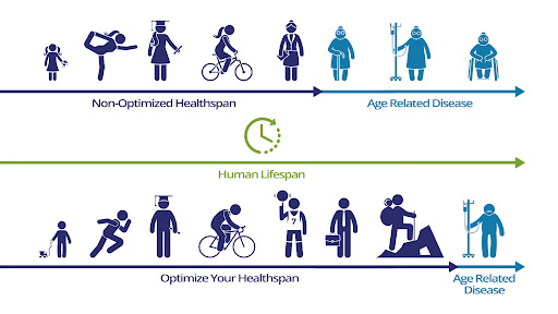 Lifespin: Simple Guide to Understanding Daily Life Tracking