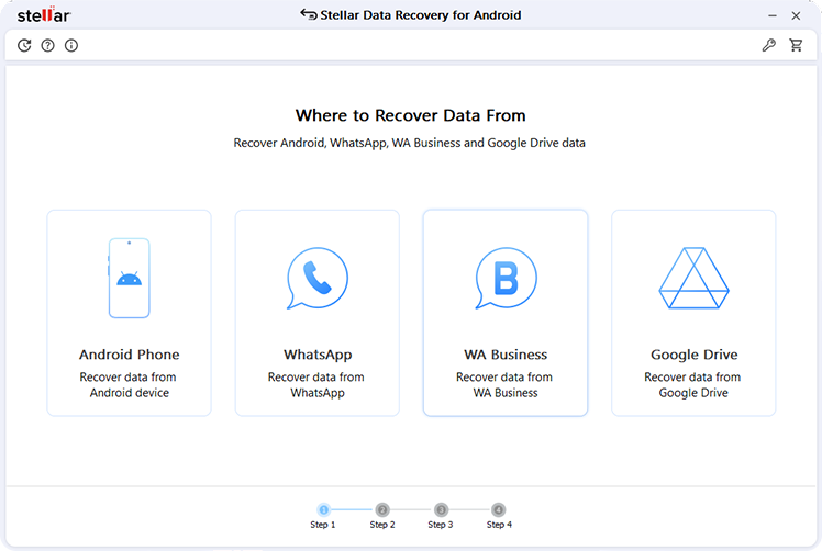 Select What to Recover
